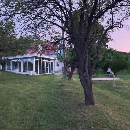 Honey Hill Apartment Fruska Gora Cerevic Exterior foto