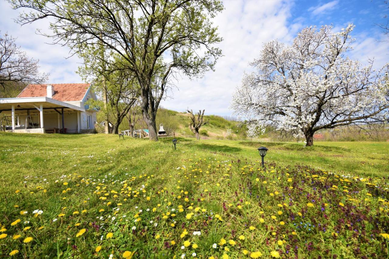Honey Hill Apartment Fruska Gora Cerevic Exterior foto