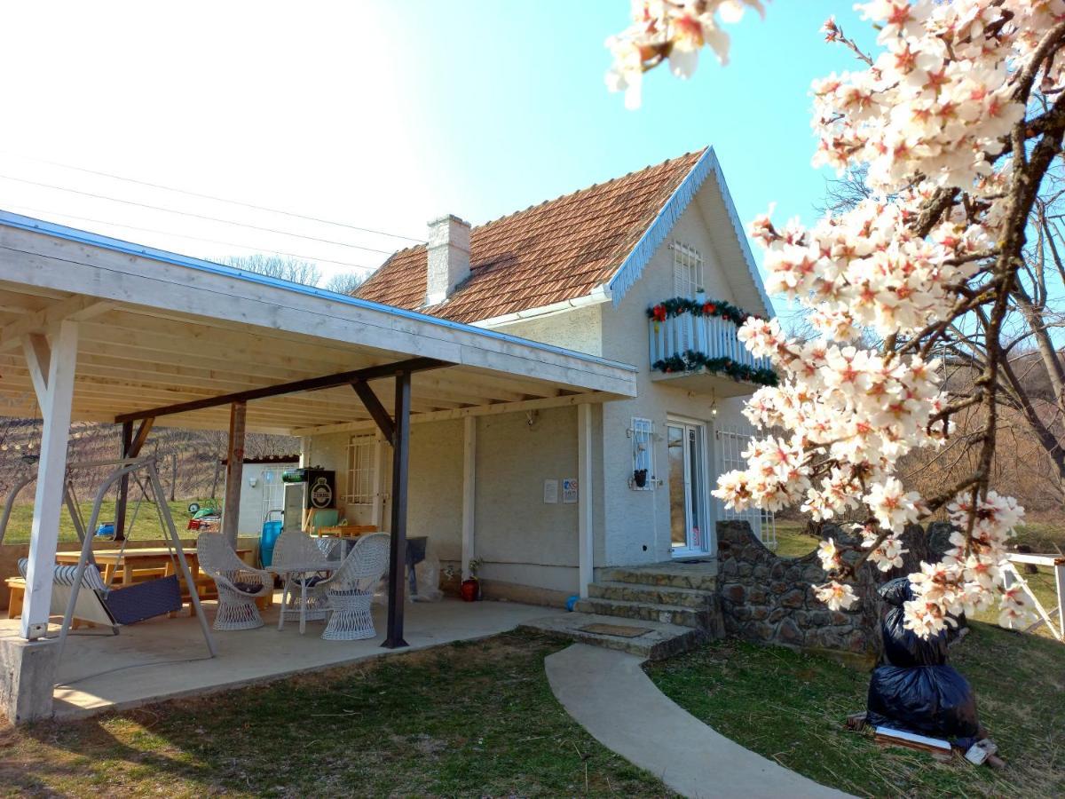 Honey Hill Apartment Fruska Gora Cerevic Exterior foto