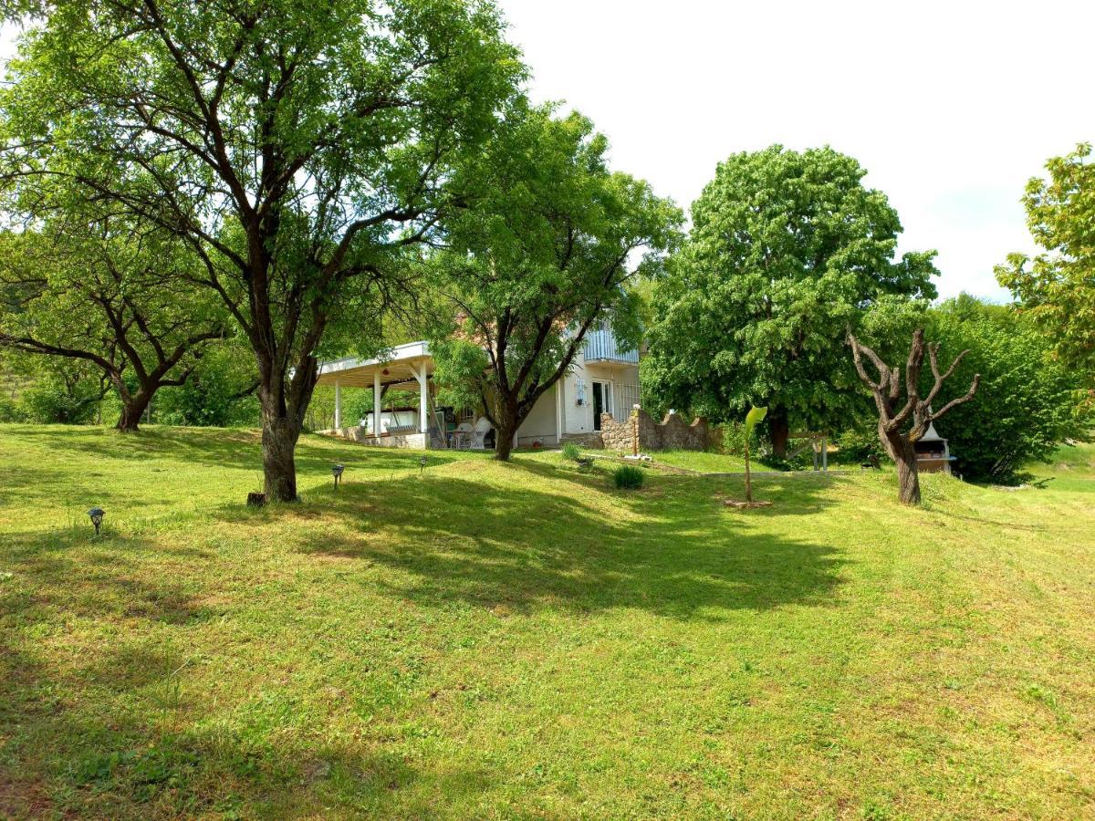 Honey Hill Apartment Fruska Gora Cerevic Exterior foto