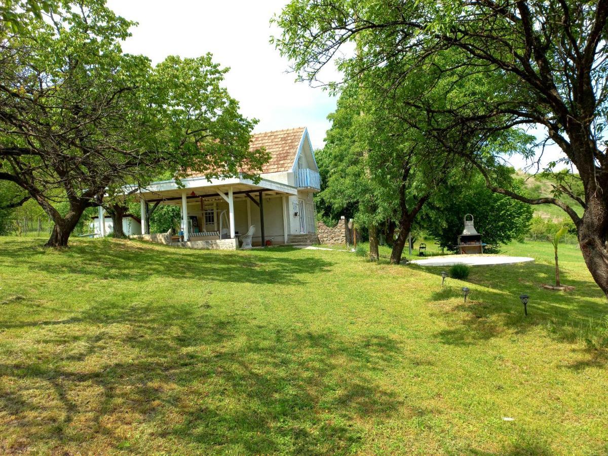 Honey Hill Apartment Fruska Gora Cerevic Exterior foto