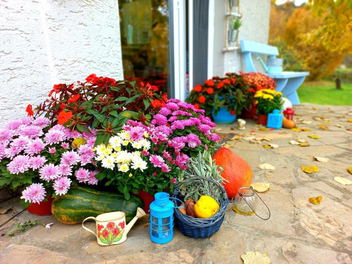 Honey Hill Apartment Fruska Gora Cerevic Exterior foto