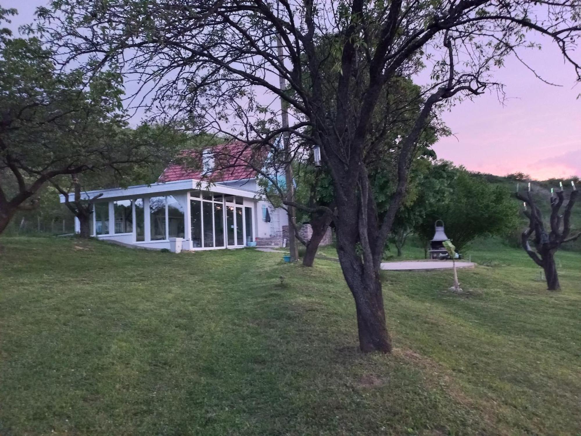 Honey Hill Apartment Fruska Gora Cerevic Exterior foto